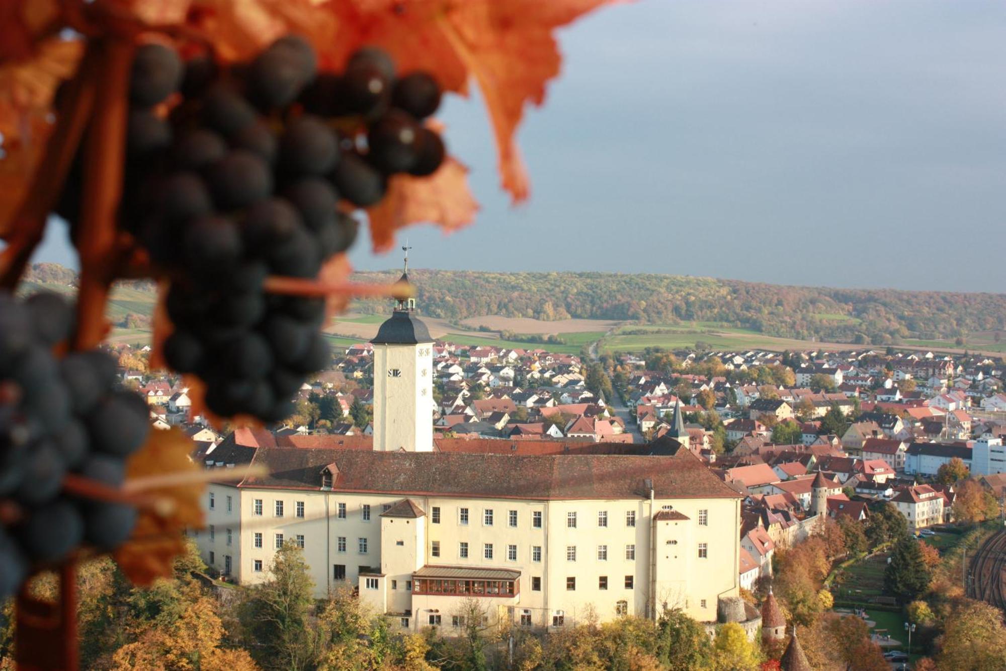 Schell Schokoladen Hotel Gundelsheim  Eksteriør billede